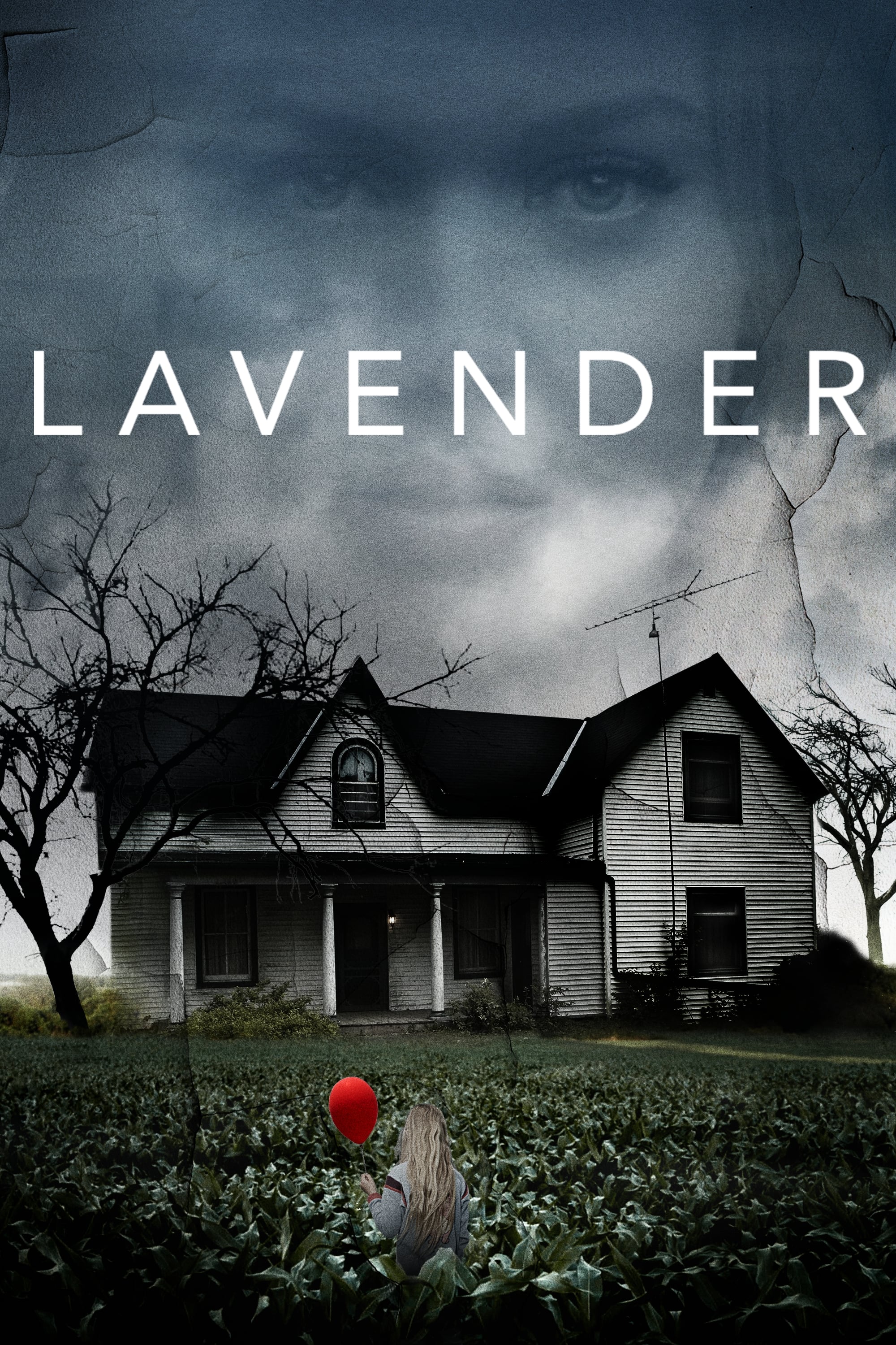 Постер Lavender